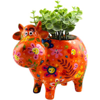 Cow Bella | Planter