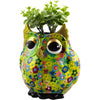 Owl Olive | Planter